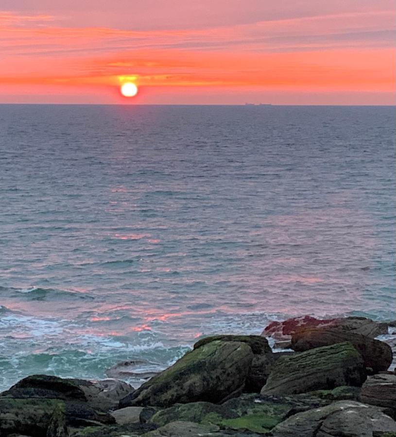 La Regate Wimereux - Vue Mer Dış mekan fotoğraf